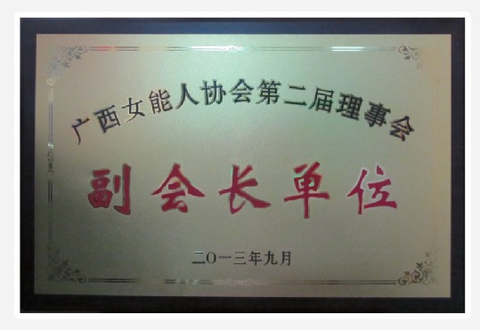 廣西女能人協(xié)會副會長單位